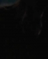 wmplayer_2008-01-24_16-00-24-56.jpg