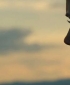 wmplayer_2008-01-24_16-02-50-58.jpg