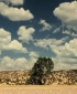 wmplayer_2008-01-24_16-07-17-17.jpg