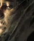 wmplayer_2008-01-24_16-47-42-30.jpg