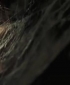 wmplayer_2008-01-24_16-47-50-97.jpg