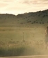 wmplayer_2008-01-24_16-57-08-83.jpg