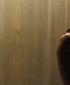 wmplayer_2008-01-24_17-00-51-03.jpg