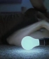 wmplayer_2008-01-24_17-02-28-11.jpg