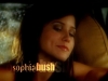 wmplayer_2008-03-29_18-13-54-65.jpg