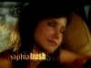 wmplayer_2008-03-29_18-13-55-06.jpg