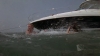 wmplayer_2008-05-06_10-29-14-71.jpg