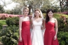 Filename=02.jpg
Filesize=59KB
Dimensions=500x333
Date added=Feb 07, 2008 02.jpg