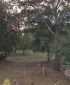 One_Tree_Hill_S06E03_REPACK_HDTV_XviD-NoTV[(059831)15-22-53].JPG