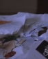 One_Tree_Hill_S06E12_HDTV_XViD-DOT[(058409)19-35-21].JPG