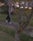 One_Tree_Hill_S06E13_HDTV_XviD-NoTV[(038882)21-54-42].JPG