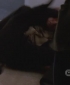 One_Tree_Hill_S06E13_HDTV_XviD-NoTV[(049365)22-03-04].JPG