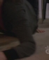 One_Tree_Hill_S06E13_HDTV_XviD-NoTV[(050860)22-04-06].JPG